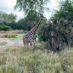 Profile Picture of Owen Whiting (@owen.whiting.3194) on Facebook