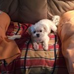 Profile Picture of Frances Franklin (@frances9605) on Instagram