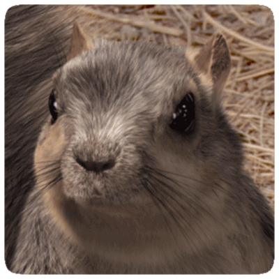 Kai Pedersen - Twitter Profile Picture of Kai Pedersen (@kaithestuffguy) on Twitter