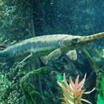 Ian Bowen - Instagram Profile Picture of Ian Bowen (@ian.bowen.39) on Instagram