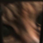 Profile Picture of Michael Fennessy (@fenneszy) on Instagram