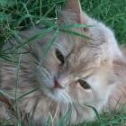 Profile Picture of   Suzan Tadha (@_suzan_1317)... (@_suzan_1317) on Tiktok