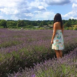 Profile Picture of Violet Wu (@Violet-Wu) on Facebook