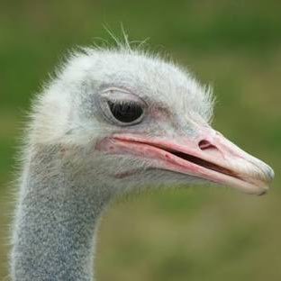 Profile Picture of Masuda (@tom16436) on Twitter