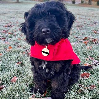 Profile Picture of Thomas McGrory (@th0m45_m) on Instagram