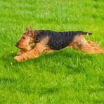 Profile Picture of Florence R Miller (@Florence-R-Miller) on Facebook