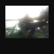 Profile Picture of Garry Scott (@garryscott5684) on Youtube