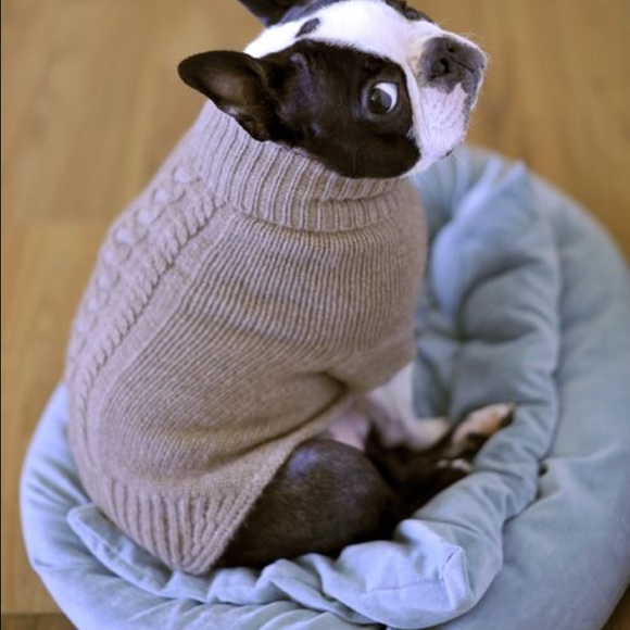 Profile Picture of Stephanie Rajcan (@srajcan) on Poshmark