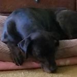 Profile Picture of Jacqueline Sheridan (@jackies207) on Instagram