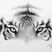 Profile Picture of Mario Malave (@mariomalave3698) on Youtube