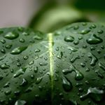 Profile Picture of BOHNERT (@bohnert4pluallen) on Instagram