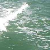 Profile Picture of William Gaudette (@Whogas7) on Youtube