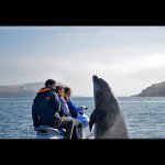 Profile Picture of Kevin Sheehy (@kevinsheehy12) on Instagram