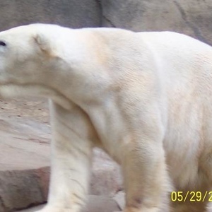 Profile Picture of Jim Hersey (@bagboy67) on Myspace