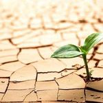 Profile Picture of Eric Hellberg (@hme_utah) on Instagram