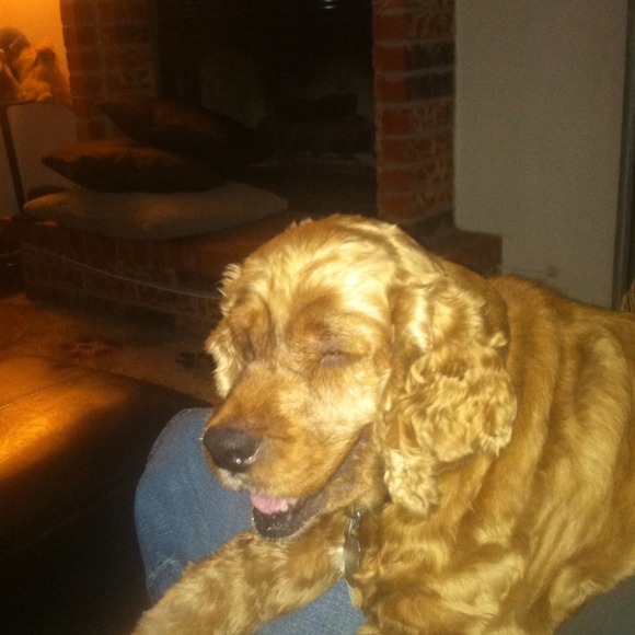 Profile Picture of Elizabeth Castro (@lisansr74) on Poshmark