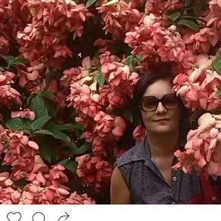 Isabel Garnica - Instagram Profile Picture of Isabel Garnica (@desde_una_ventana_de_vartou) on Instagram