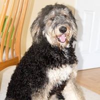 Profile Picture of Bruce Mackinlay (@bruce-mackinlay) on Quora