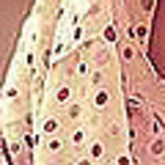 Profile Picture of Rabia Khalid (@katty katt) on Flickr