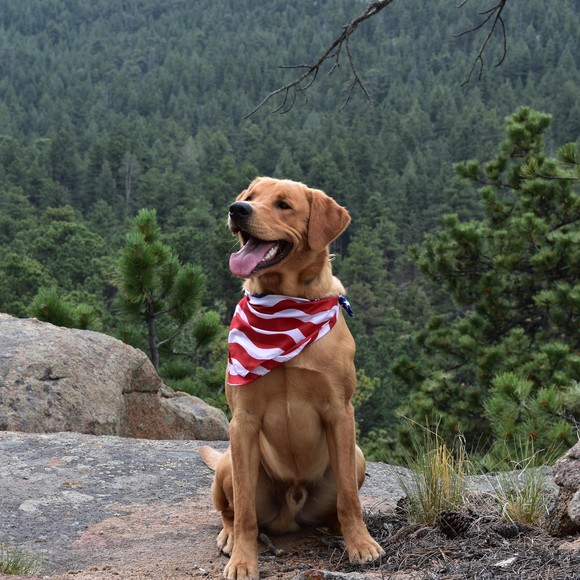 Stacy Ciolli - Poshmark Profile Picture of Stacy Ciolli (@sciolli) on Poshmark