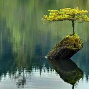 Profile Picture of Andrew (@andrewcincos) on Tiktok