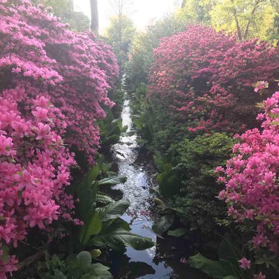 Profile Picture of Sanchari Hamida Khan (@SanchariHamida) on Twitter