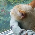 Profile Picture of Janet Helton Wood (@janethwood55) on Instagram