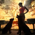 Profile Picture of Julia Fuhrmann (@julia_diemitdenhunden) on Instagram