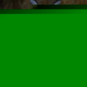 Profile Picture of Jim Huffield (@244497396) on Myspace