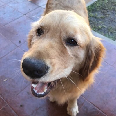 Profile Picture of Natalia Ferraro (@AndyFerraro46) on Twitter