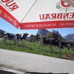 Profile Picture of Ruth Wittwer-Hofer (@wittwerhofer) on Instagram