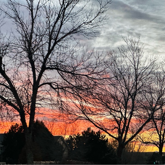 Profile Picture of Kanneeswari Sivakumar (@kanneeswaris) on Poshmark