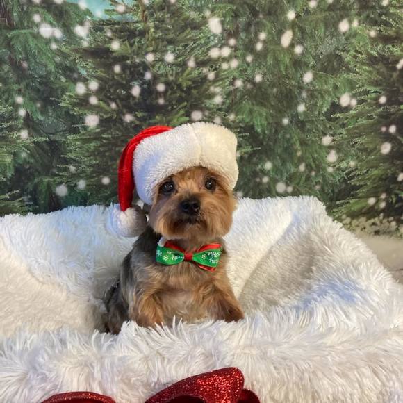 Profile Picture of Pat Grant (@pgran) on Poshmark