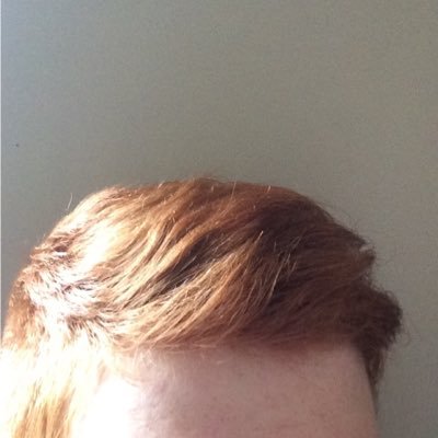 Profile Picture of Adam VanAtter (@VanAtterGinger) on Twitter