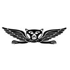 Profile Picture of Israel Commando Unit (@JosephBlum15) on Twitter