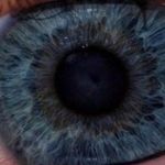 Profile Picture of Betty la bomba (@pigeon_core) on Instagram