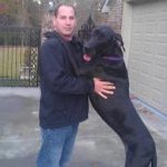 Profile Picture of Steven Scheeler (@scheela2012) on Instagram