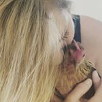 Profile Picture of Monique Parrish (@friendsforfeathershi) on Instagram