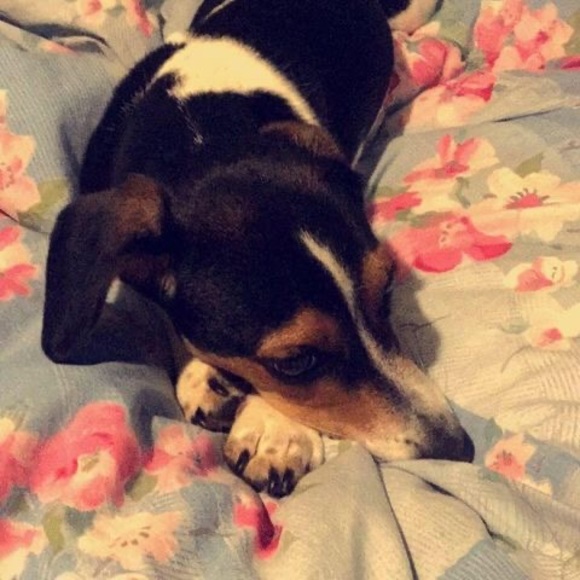 Profile Picture of Cuc Nguyen (@cucthu04) on Poshmark