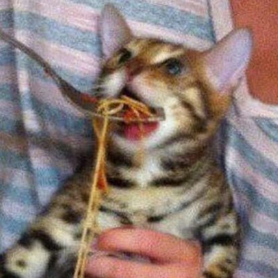Profile Picture of Andrea (@GistAndrea) on Twitter