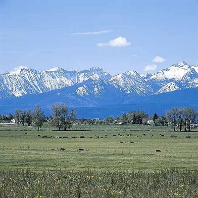 Profile Picture of Mark Ryker (@marstefy) on Twitter