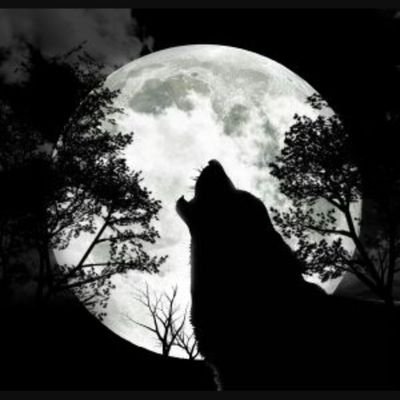 Profile Picture of Charles Alvarez  🎽 ♎ (@charles_gow) on Twitter