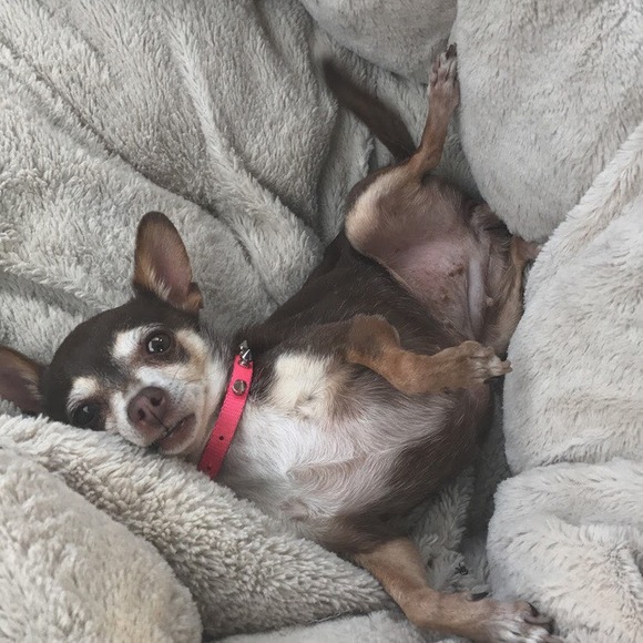 Profile Picture of Hannah Mellick (@hannahmellick) on Poshmark