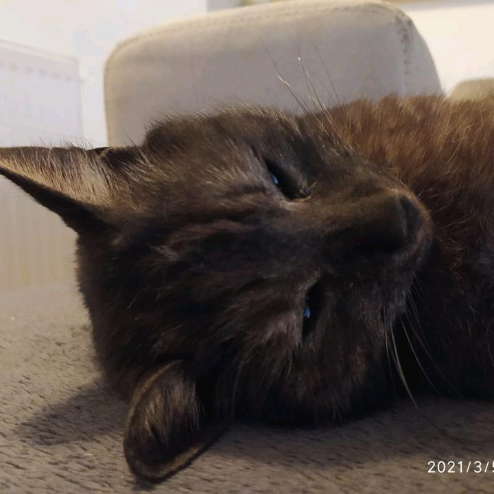 Profile Picture of any..soukup (@any..soukup) on Tiktok