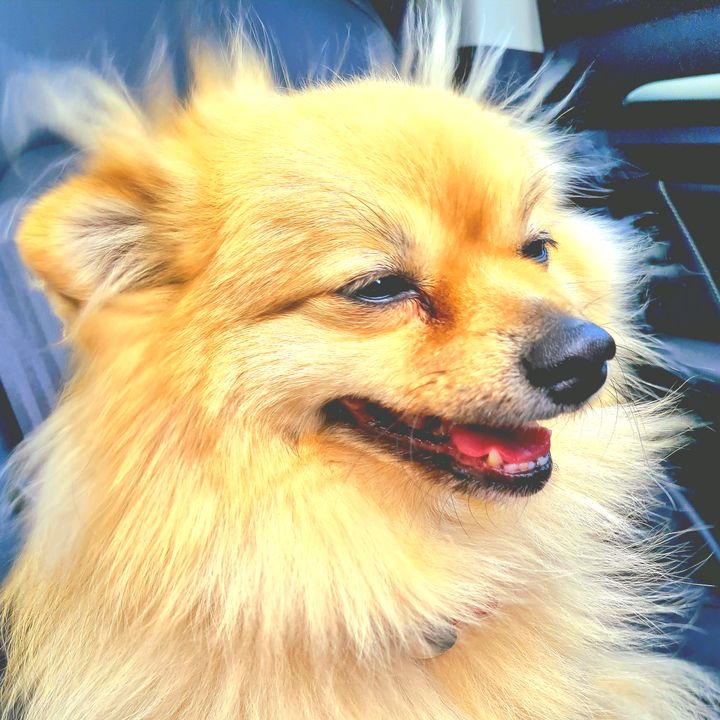 Profile Picture of ariel corman (@arielcormannnn) on Tiktok