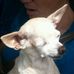Profile Picture of Pam Mclain (@Pam-Mclain) on Facebook
