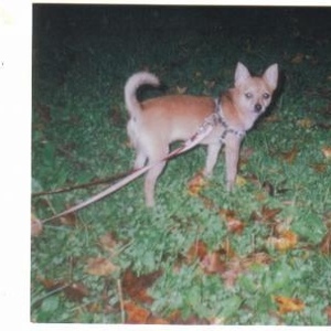 Profile Picture of Robin Chitwood (@mom37892) on Myspace