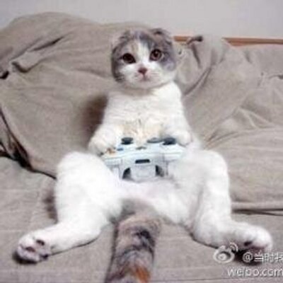 Profile Picture of 锡叶的暗钵 (@DanBrownTse) on Twitter