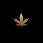 Profile Picture of Jeffman Therrien (@jeffmantherrien) on Instagram