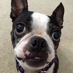 Profile Picture of Lori Bartel (@bartel908) on Instagram